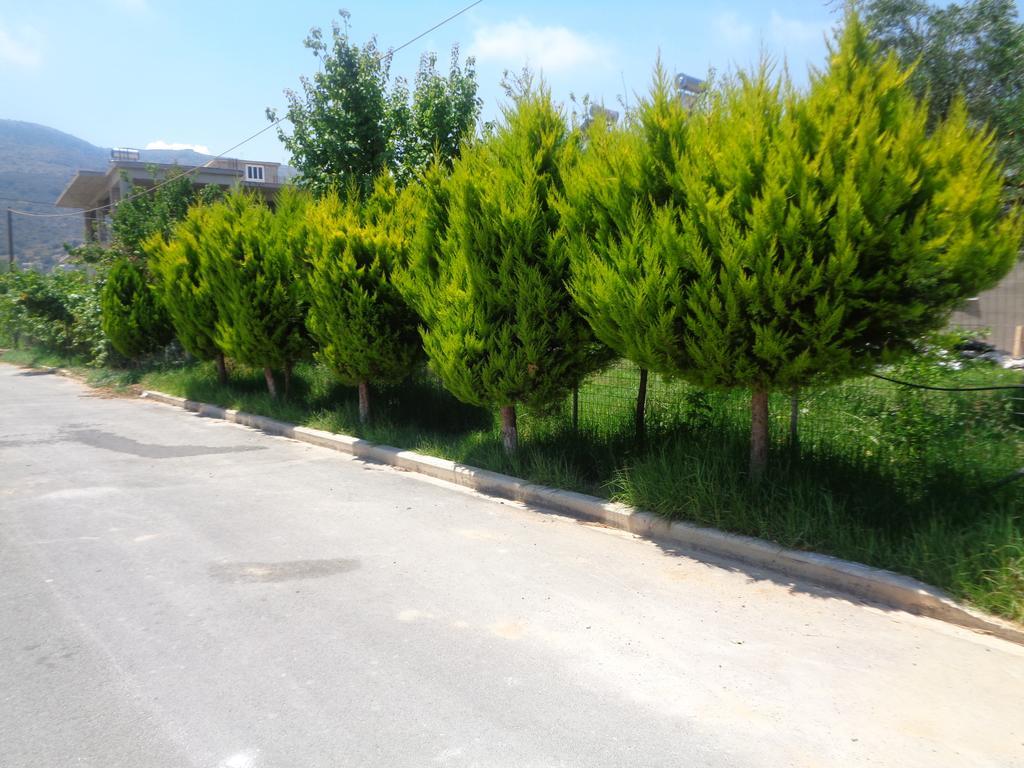 Creta Nostos Luxury Apartment Tsikalaria  Exterior foto